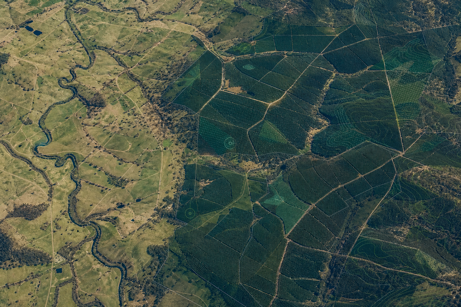 Satellite-style rural forestry and carbon monitoring landscape